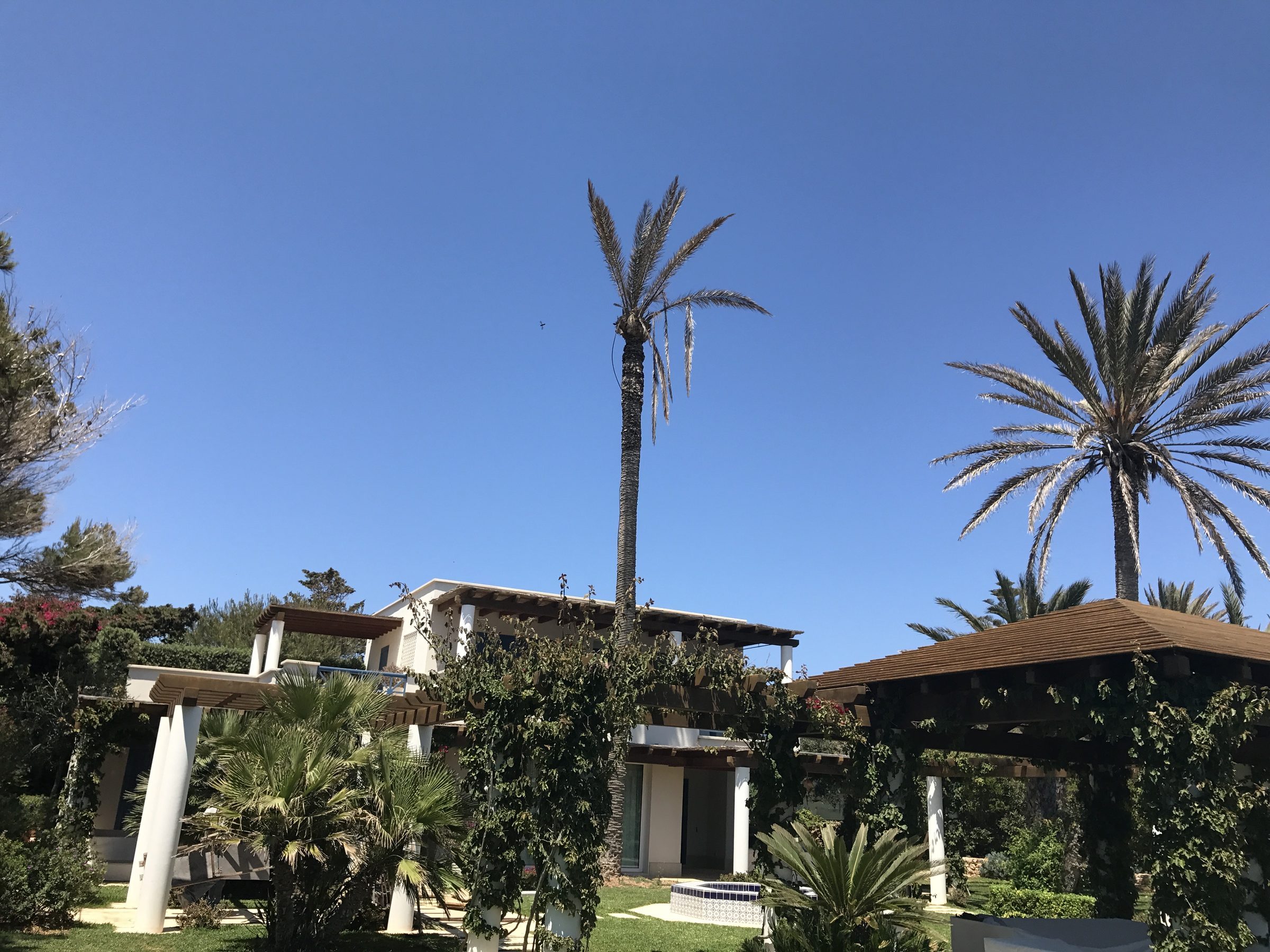 Villa Due Palme